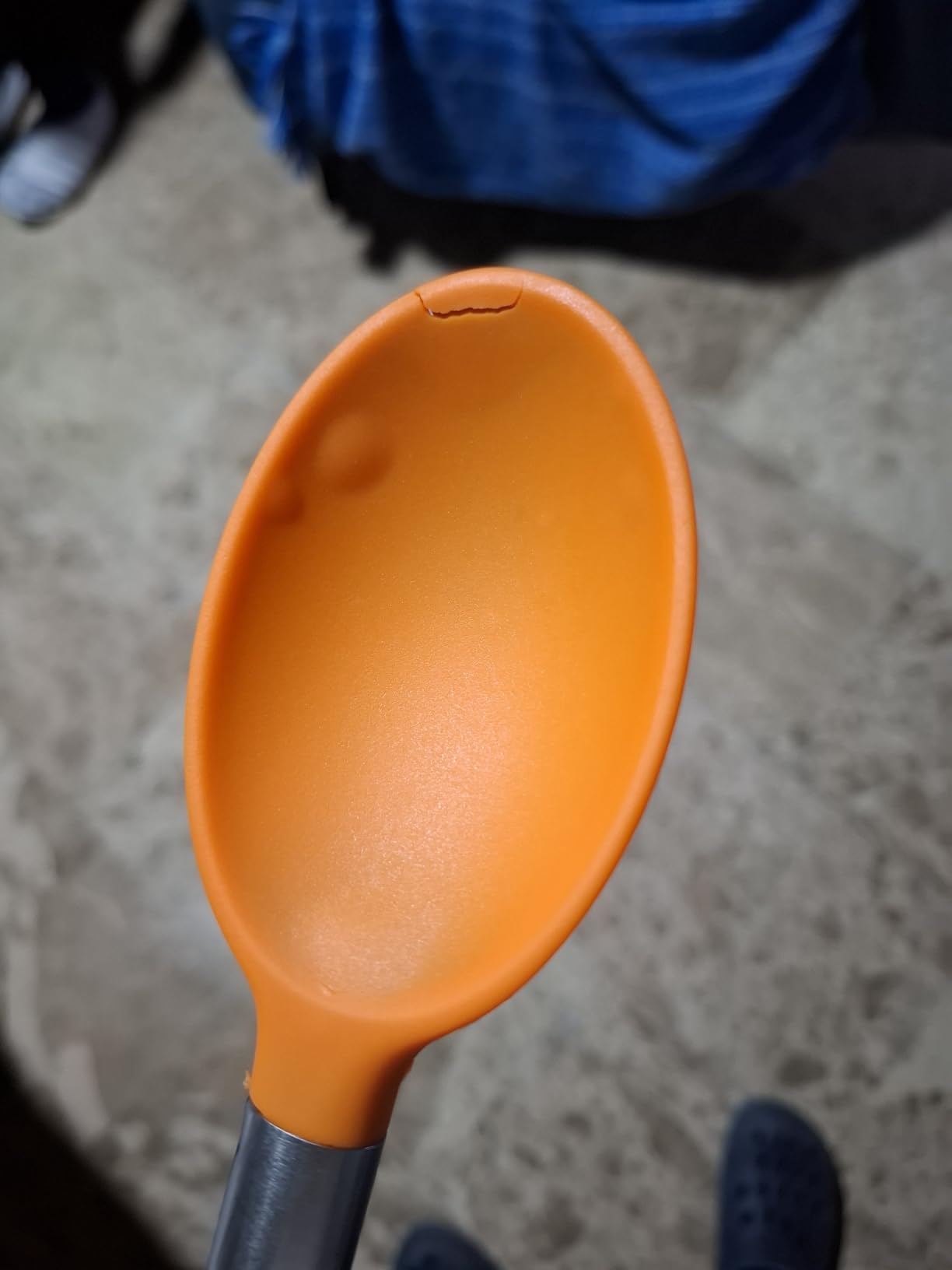 Todo lo que necesitas